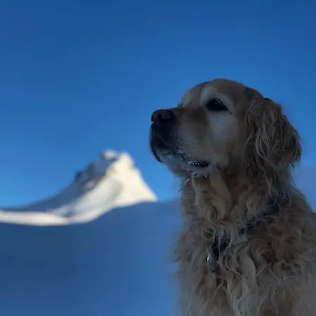 Walisgaden Superior 3*