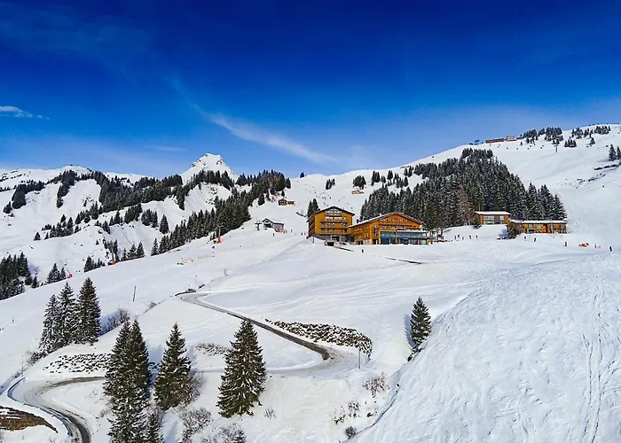 Walisgaden Superior 3* Damüls