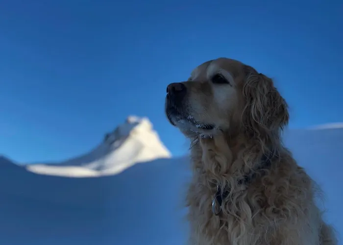 Walisgaden Superior 3*